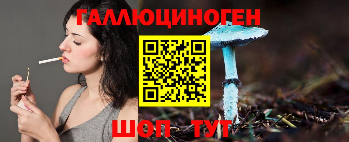 Галлюциногенные грибы прущие грибы Каспийск