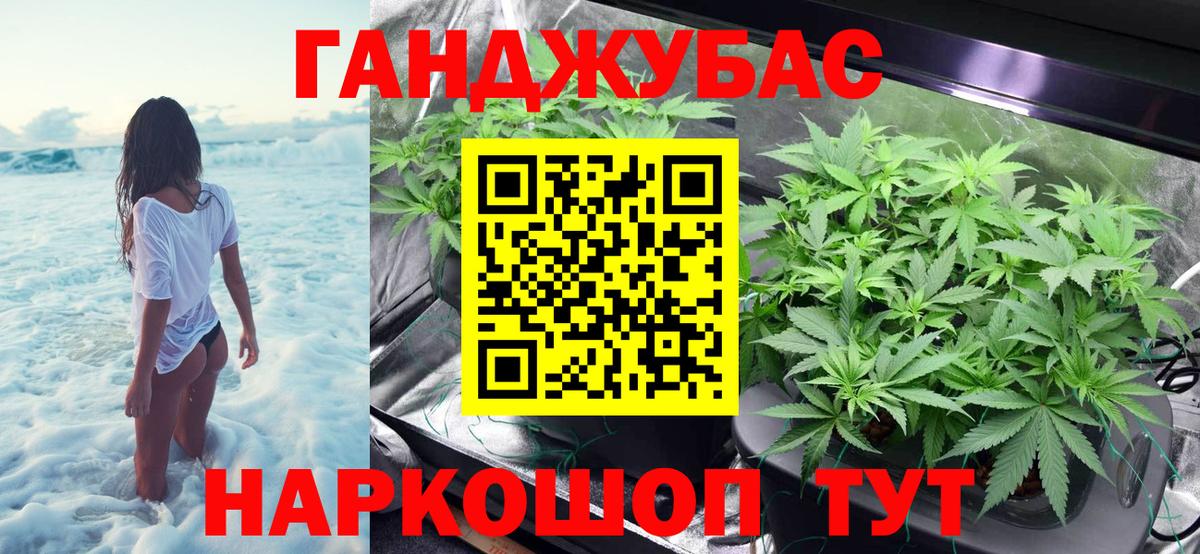 Марихуана планчик  Бошки Шишки планчик  Каннабис Amnesia  Каспийск  Бошки марихуана Ganja 